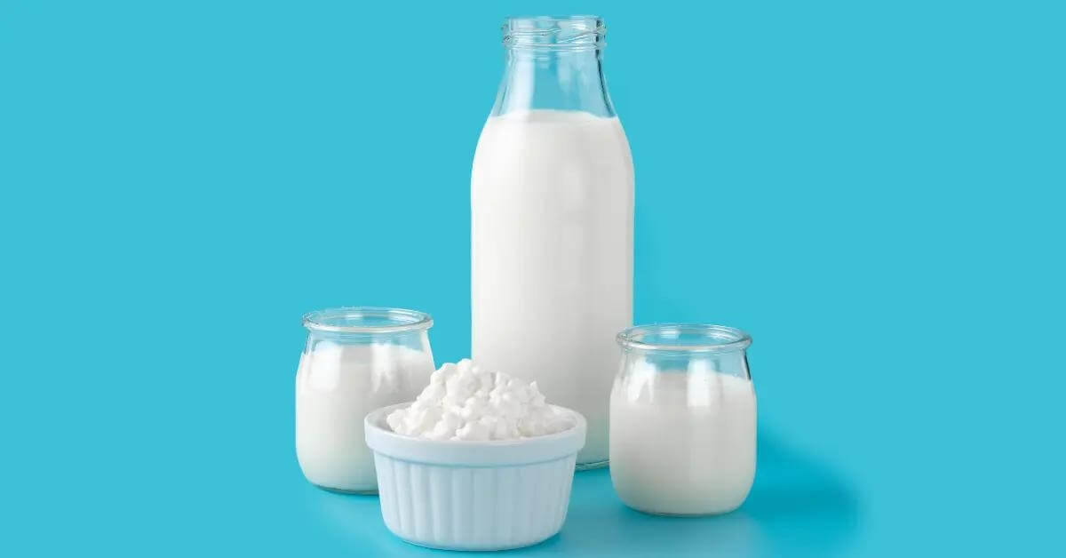 Learn Why are DairyBased Drinks to Sell so Popular Today!